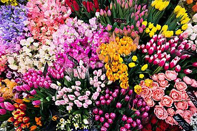 最新一周Fami通游戏评分出炉 《无限暖暖》获34分